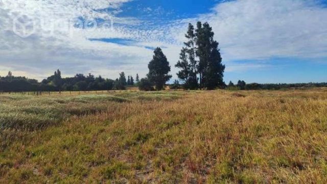 Venta Parcela sector santa Fé, comuna de los Ángel