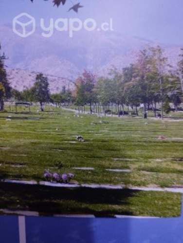 Sepultura económica