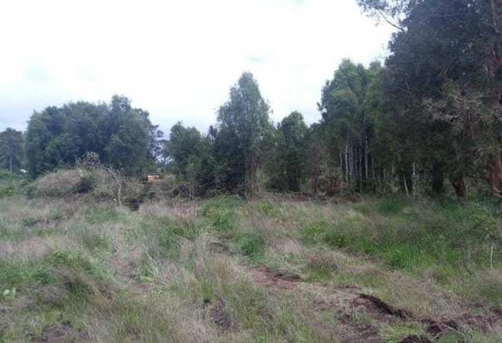 Parcela el Frutillar a pasos del la logo