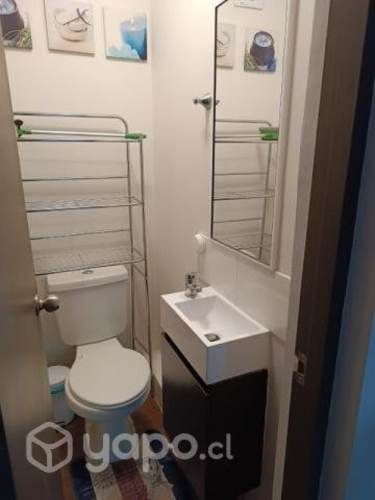 Arriendo departamento Amoblado