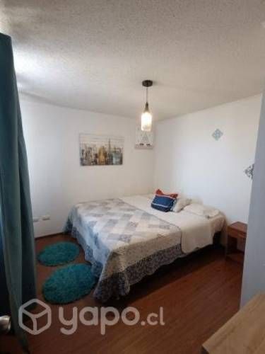 Arriendo departamento Amoblado