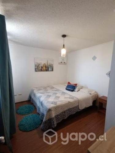 Arriendo departamento Amoblado