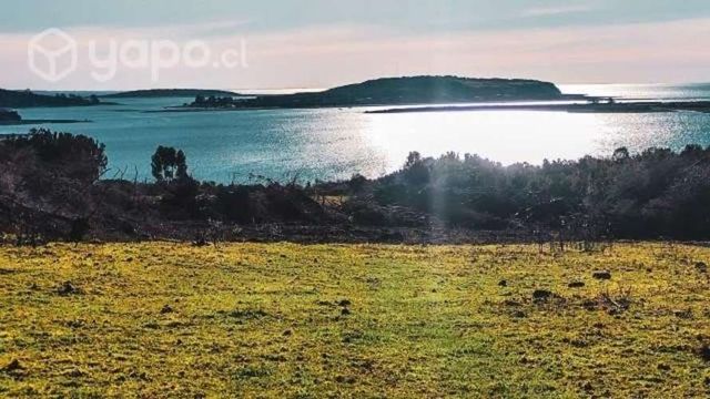 Venta Parcelas isla Butachauques