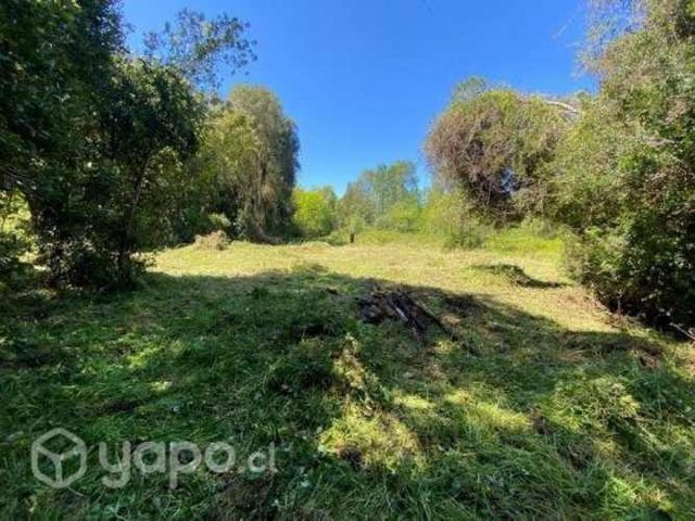 PARCELA 1 hectárea en sector Nanihue