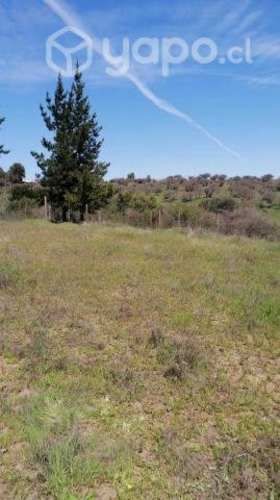 Venta parcela quillon