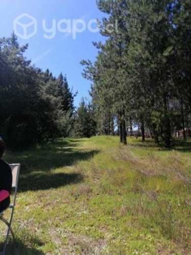 Venta parcela quillon