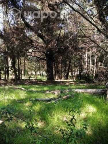 Venta parcela quillon