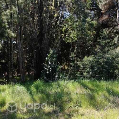 Venta parcela quillon