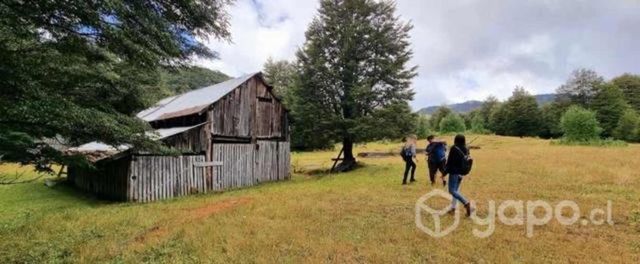 20 hectáreas de campo