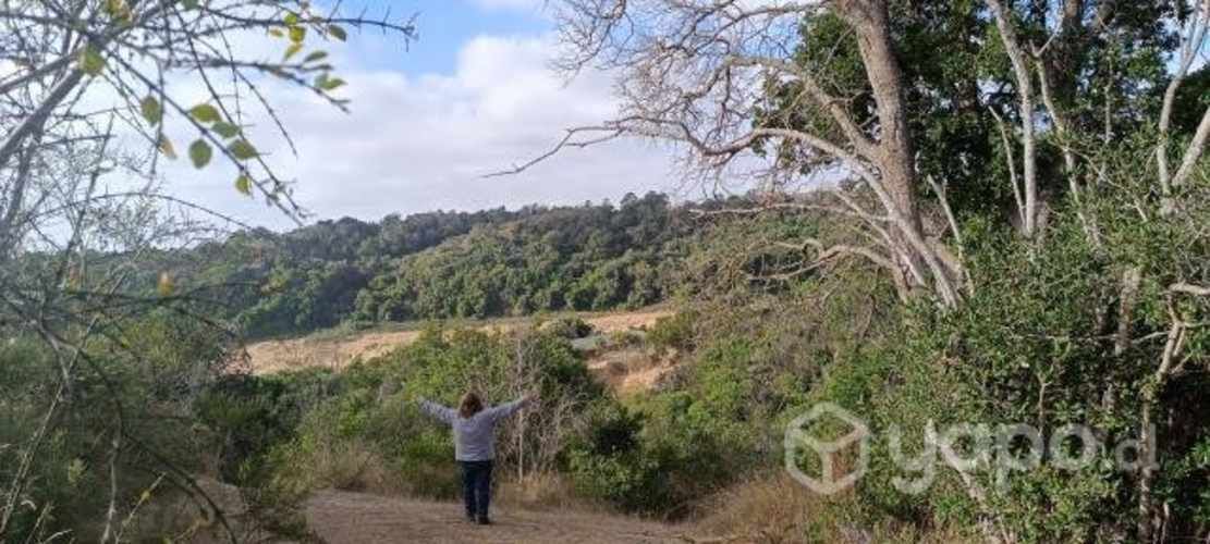 Parcela Santo domingo