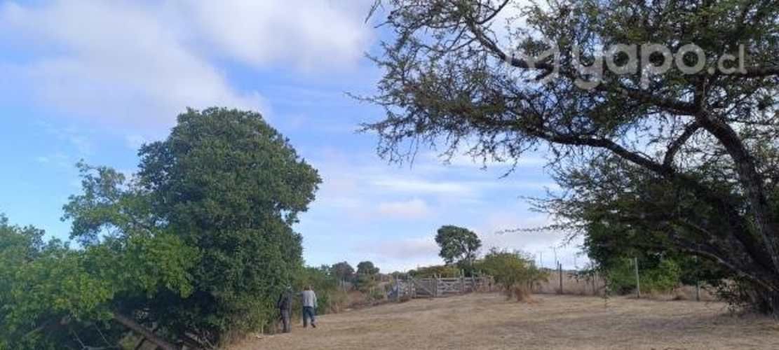 Parcela Santo domingo