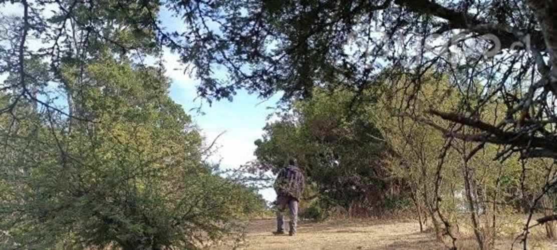 Parcela Santo domingo