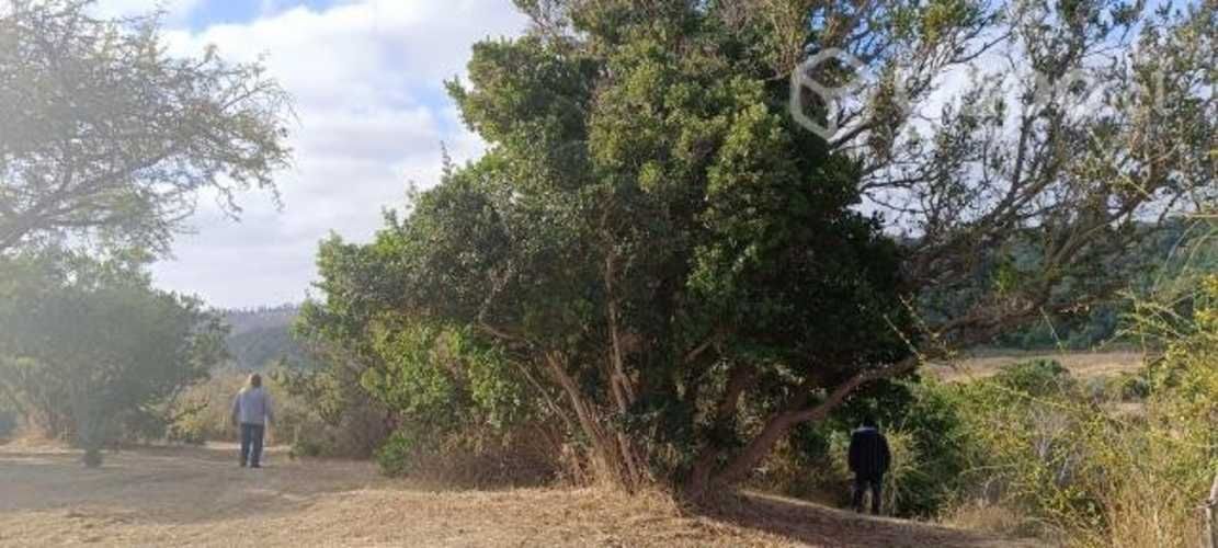 Parcela Santo domingo