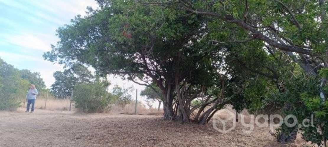 Parcela Santo domingo