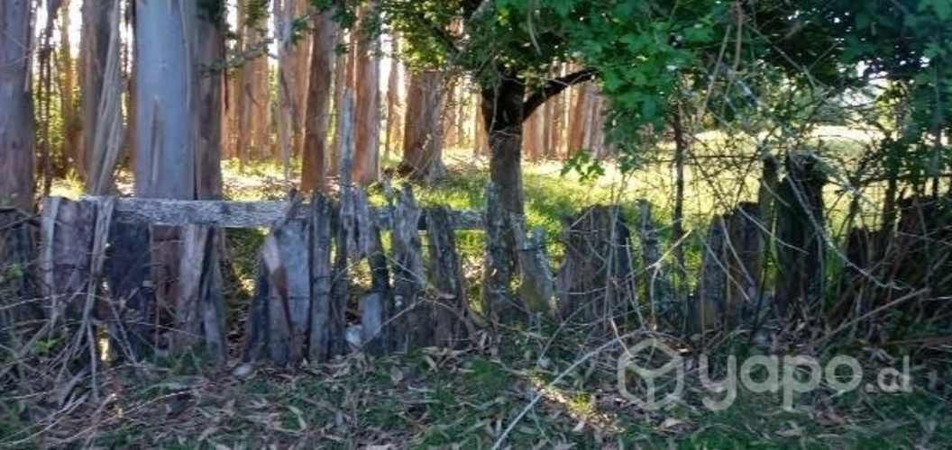 Parcela de agrado cerca de Folilco