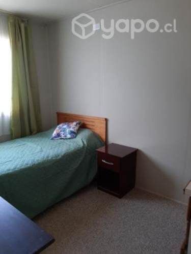 Pieza a Srta. Universitaria