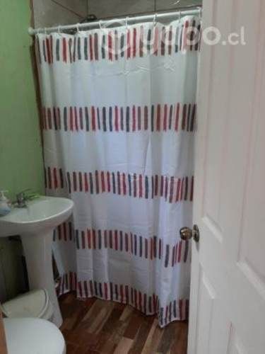 Pieza a Srta. Universitaria