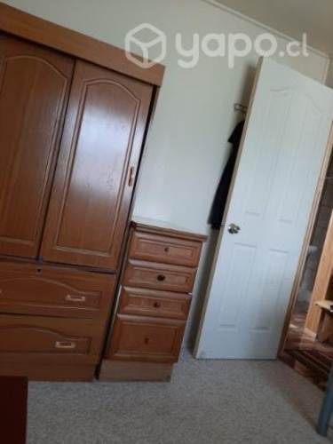 Pieza a Srta. Universitaria