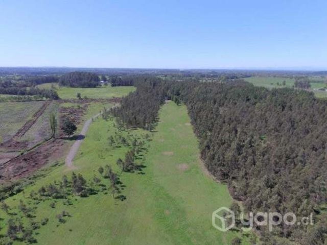 Parcela 5000m2, Los Angeles