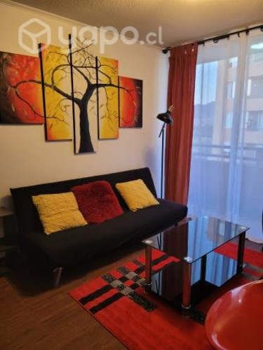 Arriendo dpto amoblado, equipado y en lugar seguro