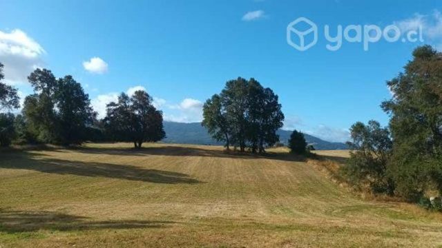 Terreno Panguipulli 42,5 ha