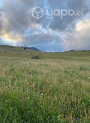 Vendo Parcela 1/2 hectárea Altos de Panguilemu