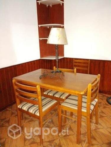 Arriendo depto pleno centro