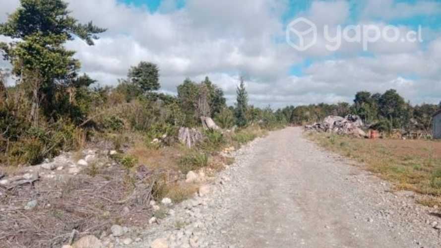 Vendo hectáreas con casa