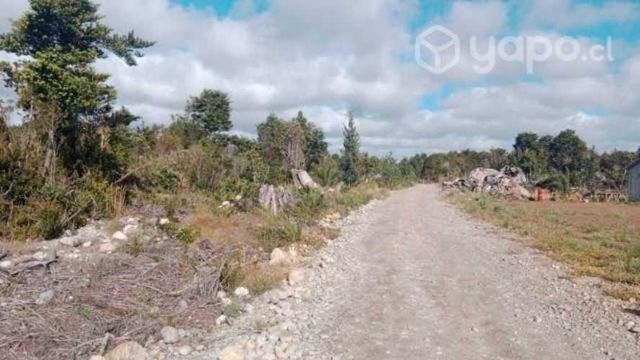 Vendo hectáreas con casa