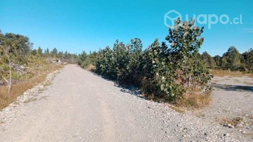 Vendo hectáreas con casa