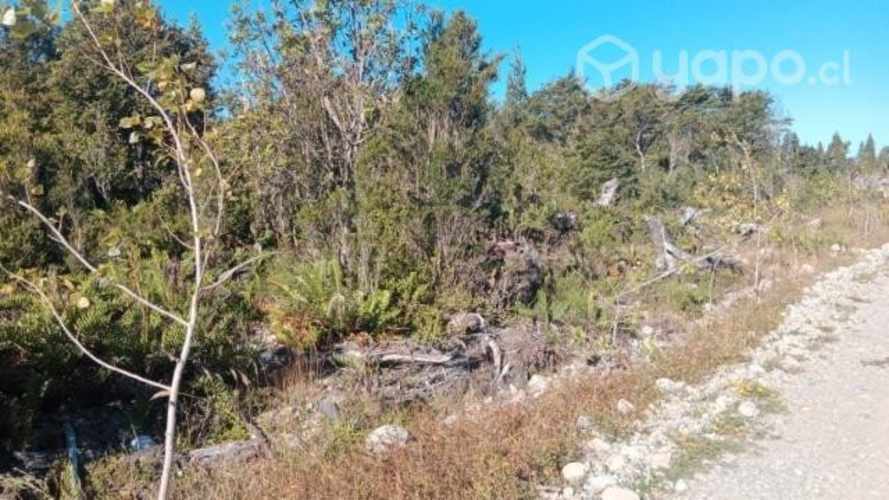 Vendo hectáreas con casa