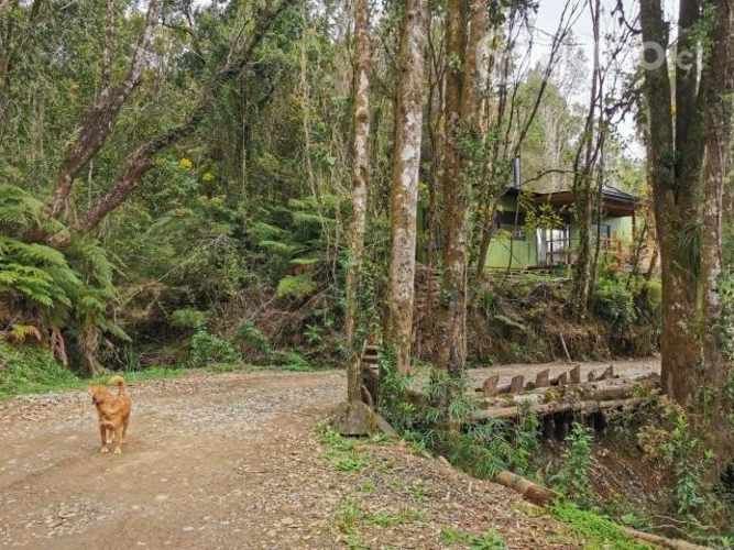 Cabaña en entorno natural