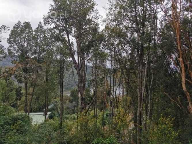 Cabaña en entorno natural