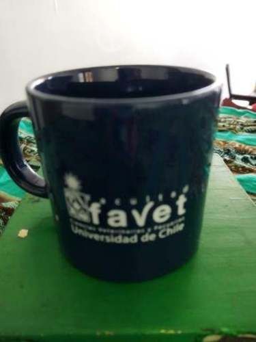 Arriendo pieza persona sexo femenino, universitar