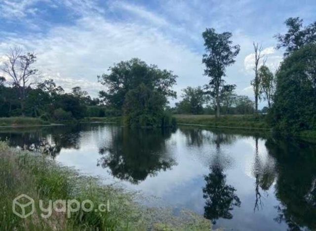 Se vende parcela a 15 kilómetros de Osorno