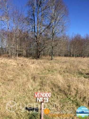 Pucón Villarrica lotes 18 y 19 de 5.000 metros lef