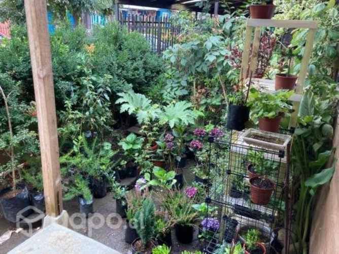 Casa en Ines de Suarez