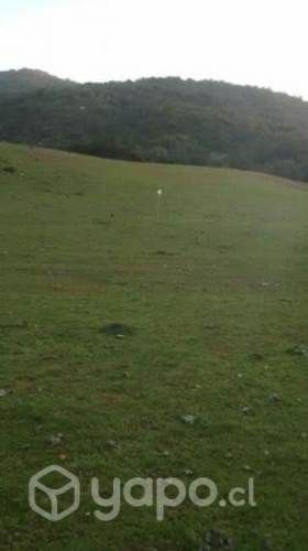 Hermoso terreno ubicado en el corazón de colliguay