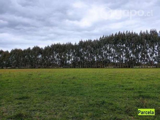 Parcela en condominio en Frutillar - ULTIMO PRECIO