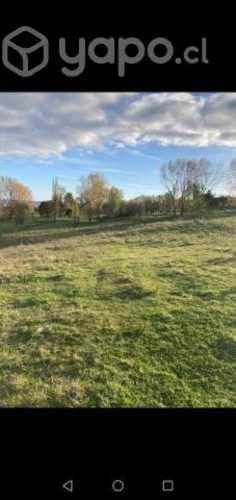 Venta terreno en mantilhue