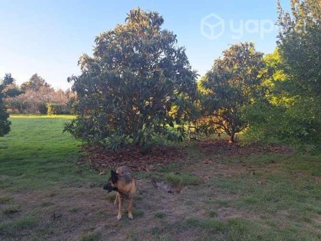 Parcela En Venta Santa Rita De Pirque