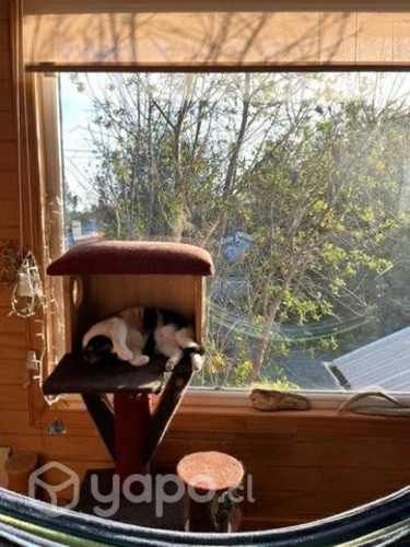 Habitación para estudiante