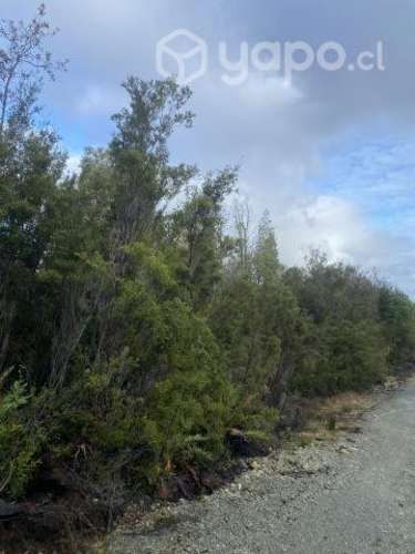 Parcelas en los muermos Puerto Montt 10500000