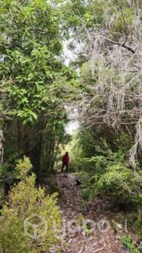 Parcelas en los muermos Puerto Montt 10500000