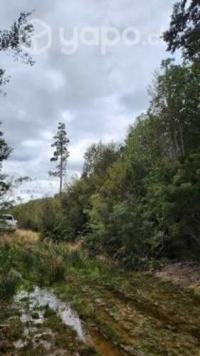 Parcelas en los muermos Puerto Montt 10500000