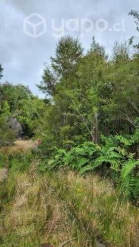 Parcelas en los muermos Puerto Montt 10500000