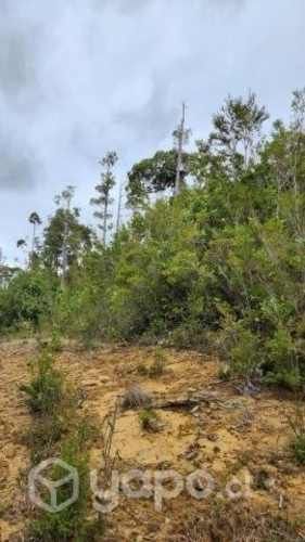 Parcelas en los muermos Puerto Montt 10500000