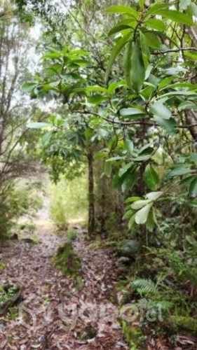 Parcelas en los muermos Puerto Montt 10500000