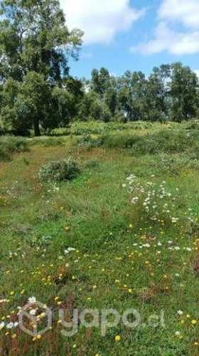 Se vende parcela, media hectárea en huichahue