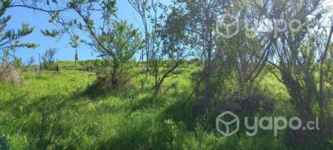 Venta de Parcela en Limache